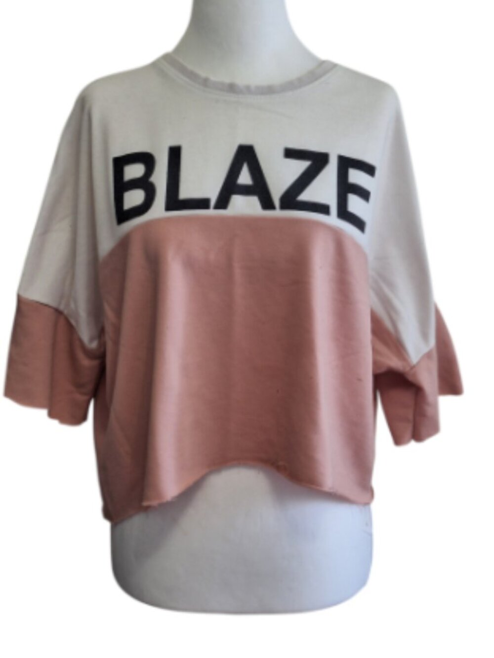 SHEIN BLAZE CROPPED SWEAT SHIRT SIZE XL